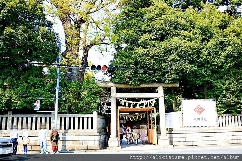 【埼玉縣】川越冰川神社:結緣聖地的日本月老神社及夢幻的春櫻名所(含川越市區交通)