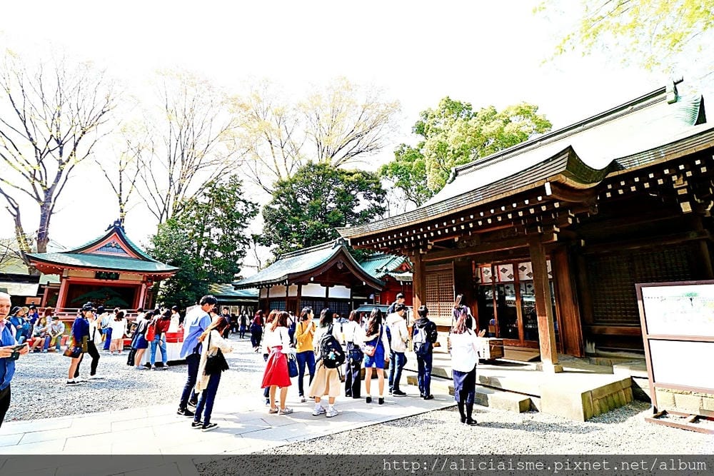 【埼玉縣】川越冰川神社:結緣聖地的日本月老神社及夢幻的春櫻名所(含川越市區交通)