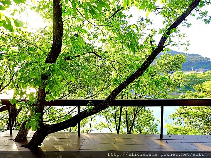 【高知縣】SHADE TREE COFFEE(樹蔭咖啡): 森林裡眺望四萬十川、聽風唱歌的周末休假咖啡館