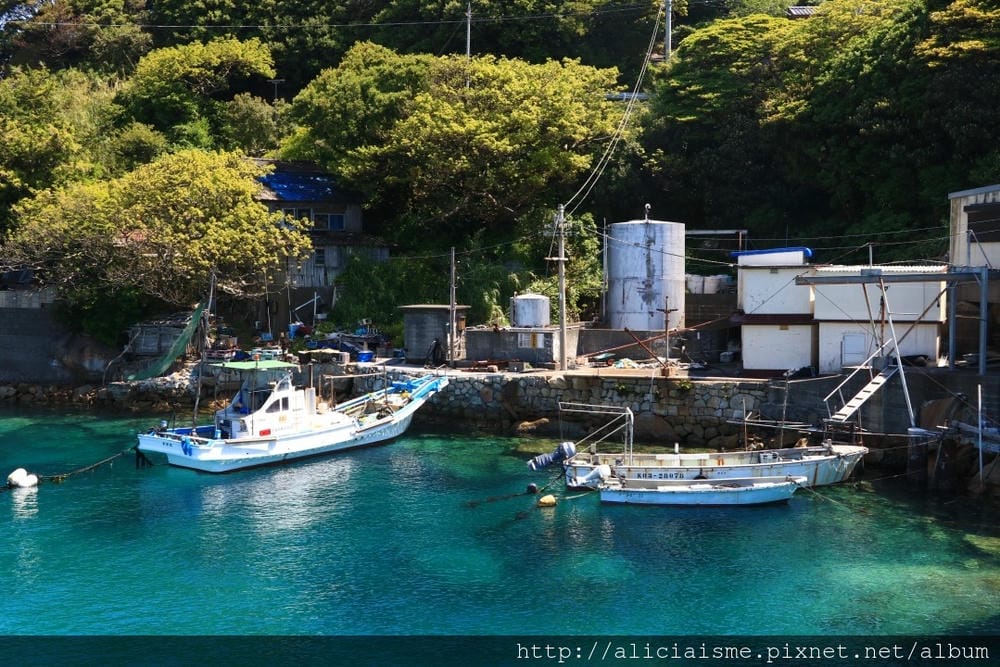 【高知縣】柏島:不可思議、船隻漂浮在透明海上南國祕境之島(含交通及行程規劃)
