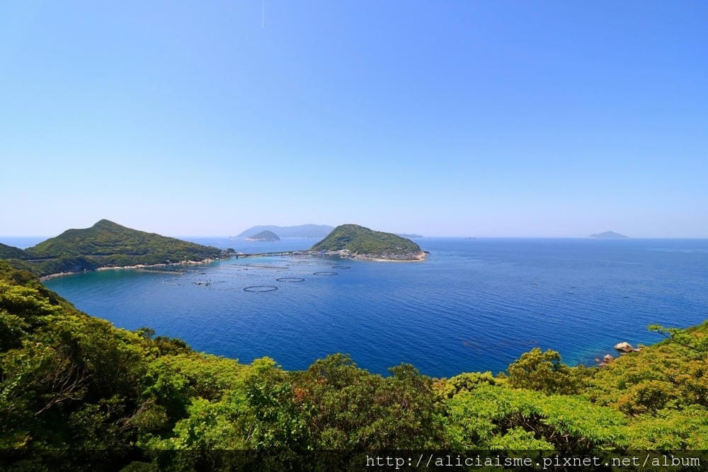 【高知縣】柏島:不可思議、船隻漂浮在透明海上南國祕境之島(含交通及行程規劃)