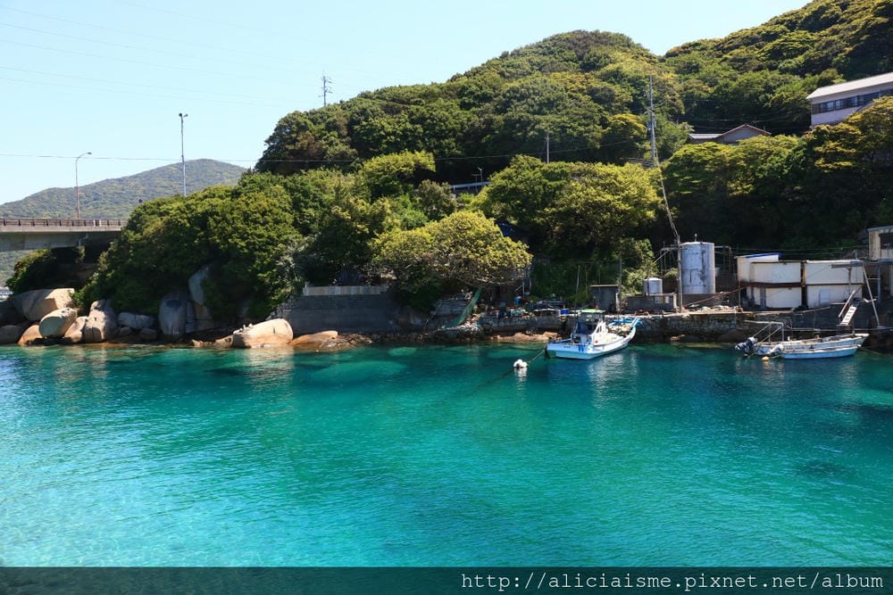【高知縣】柏島:不可思議、船隻漂浮在透明海上南國祕境之島(含交通及行程規劃)