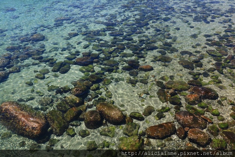 【高知縣】柏島:不可思議、船隻漂浮在透明海上南國祕境之島(含交通及行程規劃)