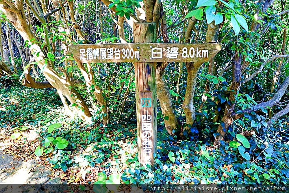 【高知縣】足摺岬:四國最南端的不思議絕景探險、四國遍路能量地「金剛福寺」