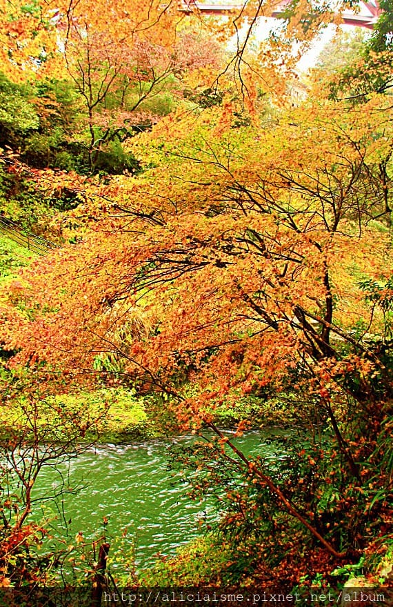 【石川縣】山中溫泉:總湯、鶴仙溪:北陸絕美溪流散策@加賀溫泉