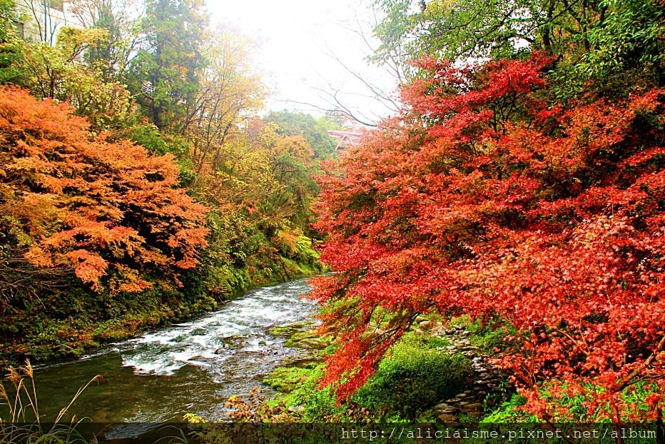 【石川縣】山中溫泉:總湯、鶴仙溪:北陸絕美溪流散策@加賀溫泉