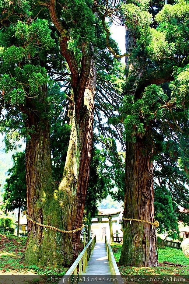 【石川縣】山中溫泉：總湯、鶴仙溪：北陸絕美溪流散策＠加賀溫泉