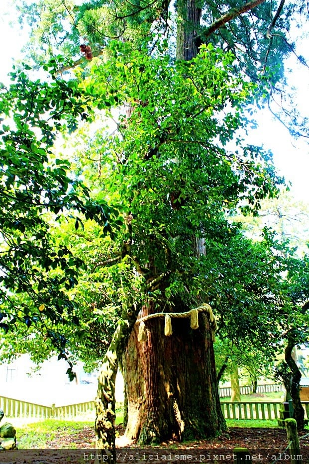 【石川縣】山中溫泉:總湯、鶴仙溪:北陸絕美溪流散策@加賀溫泉