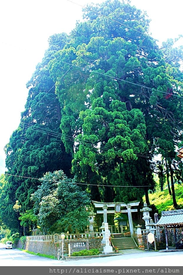 【石川縣】山中溫泉：總湯、鶴仙溪：北陸絕美溪流散策＠加賀溫泉