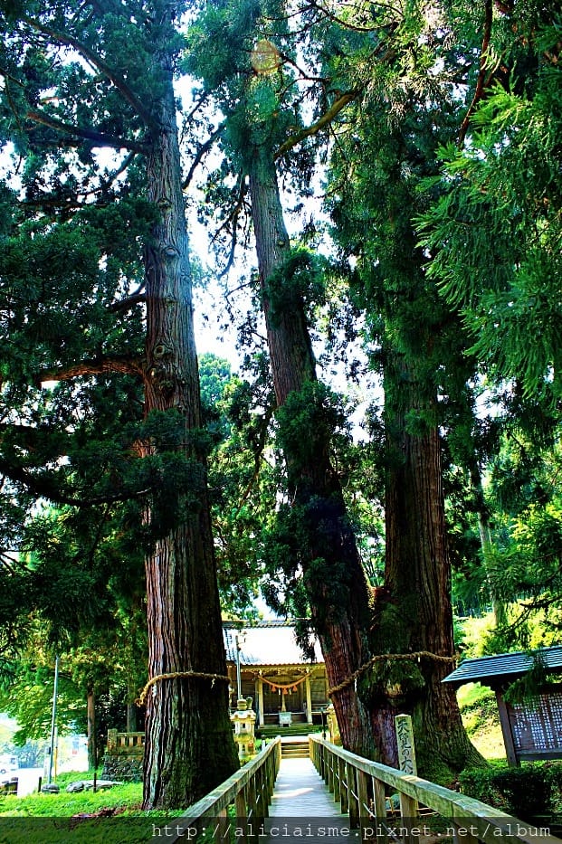 【石川縣】山中溫泉:總湯、鶴仙溪:北陸絕美溪流散策@加賀溫泉