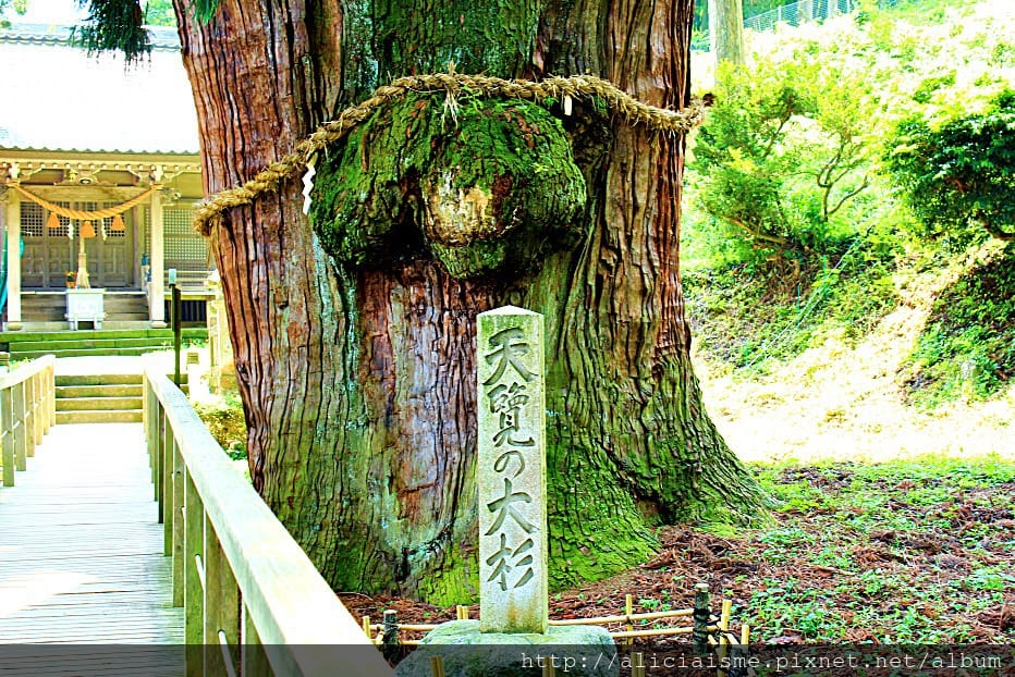 【石川縣】山中溫泉:總湯、鶴仙溪:北陸絕美溪流散策@加賀溫泉