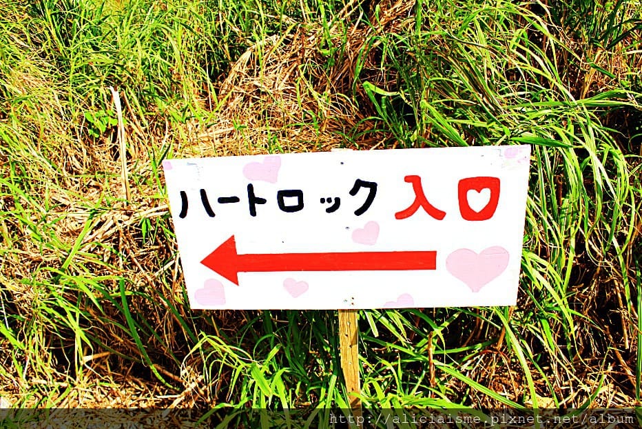 【沖繩】 古宇利島:戀上七彩海景的神之島、找尋秘藏心形岩