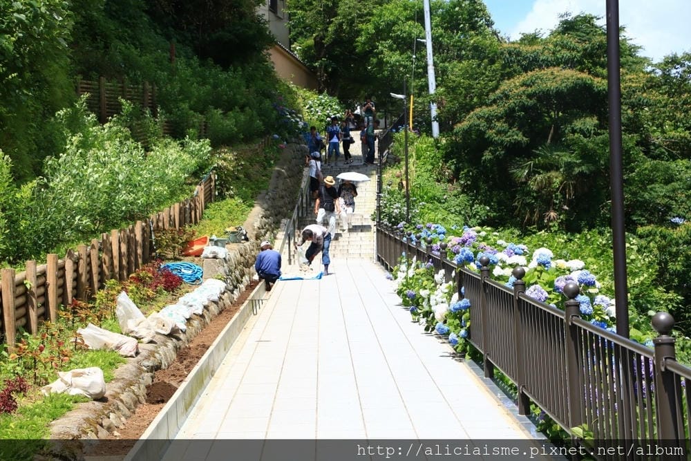 【神奈川縣】(2018年)成就院~眺望海灣、煩惱盡除的108階紫陽花參道@鎌倉(江之電/極樂寺站)