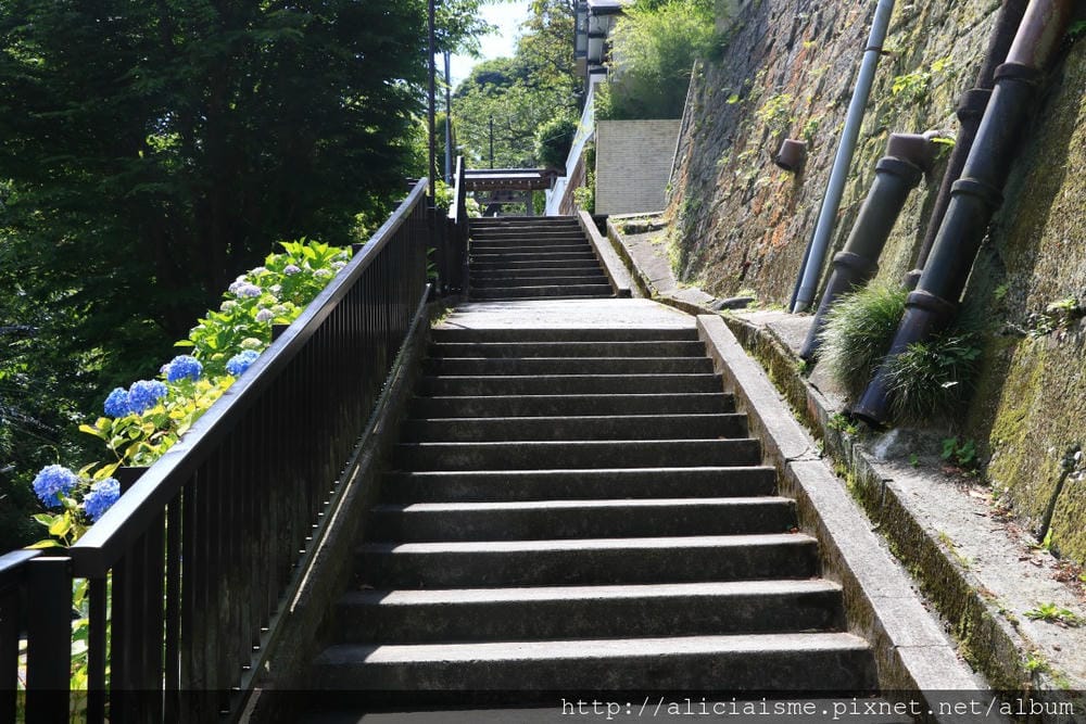【神奈川縣】(2018年)成就院~眺望海灣、煩惱盡除的108階紫陽花參道@鎌倉(江之電/極樂寺站)