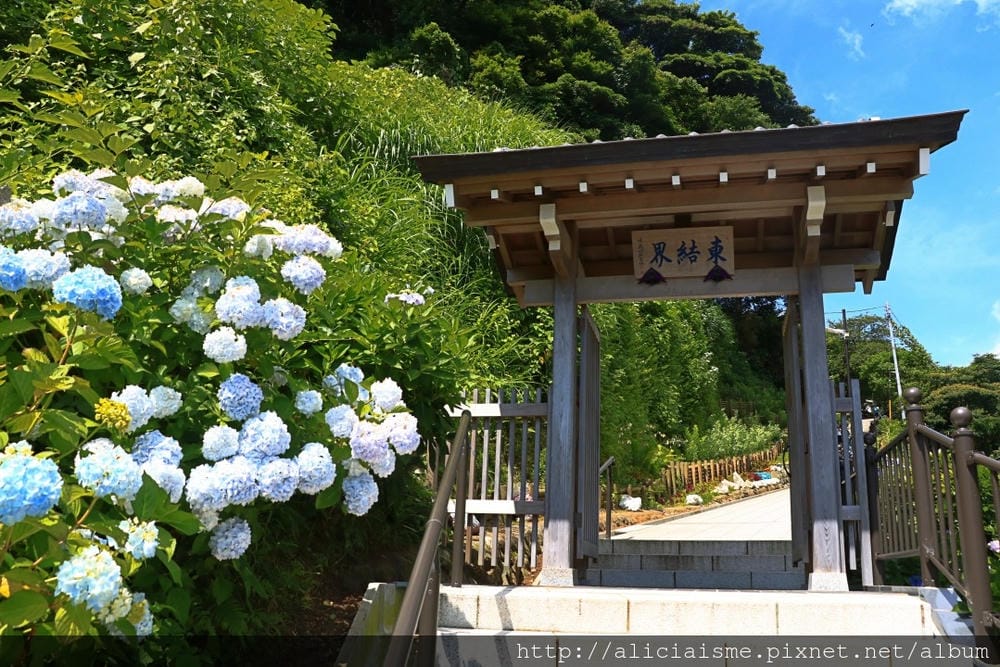 【神奈川縣】(2018年)成就院~眺望海灣、煩惱盡除的108階紫陽花參道@鎌倉(江之電/極樂寺站)