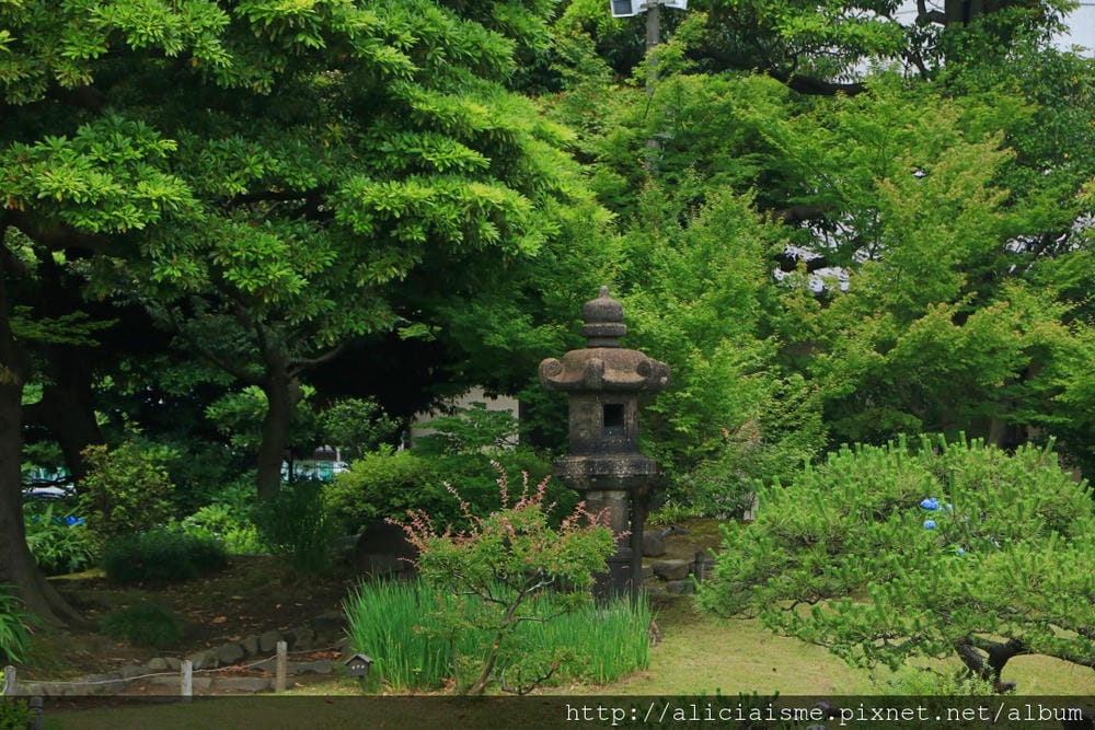 【東京都】舊芝離宮恩賜庭園:都心綠洲裡的四季及電車風情 【東京都】舊芝離宮恩賜庭園:都心綠洲裡的四季及電車風情