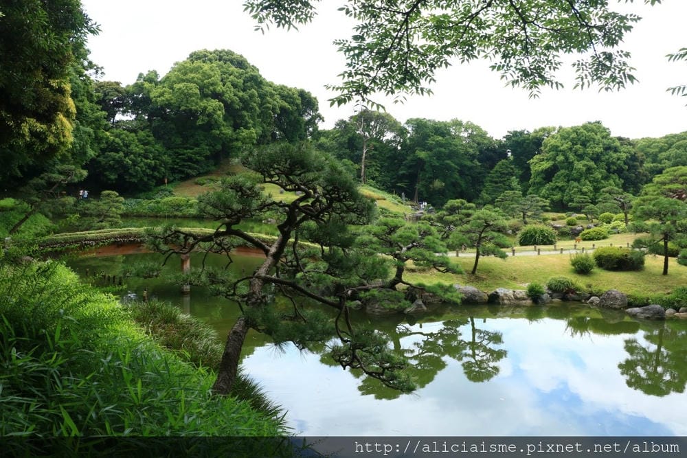 【東京都】清澄庭園:下町風情的日式庭園裏,品咖啡找四季 【東京都】清澄庭園:下町風情的日式庭園裏,品咖啡找四季