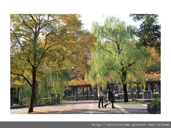 【東京都】清澄庭園:下町風情的日式庭園裏,品咖啡找四季 【東京都】清澄庭園:下町風情的日式庭園裏,品咖啡找四季