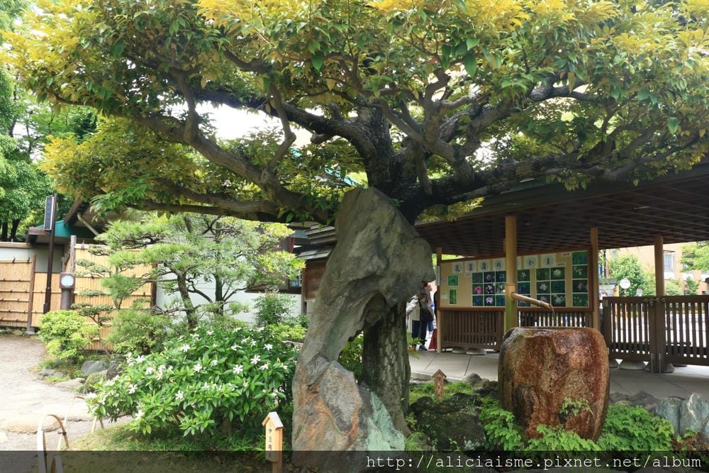 【東京都】清澄庭園:下町風情的日式庭園裏,品咖啡找四季 【東京都】清澄庭園:下町風情的日式庭園裏,品咖啡找四季
