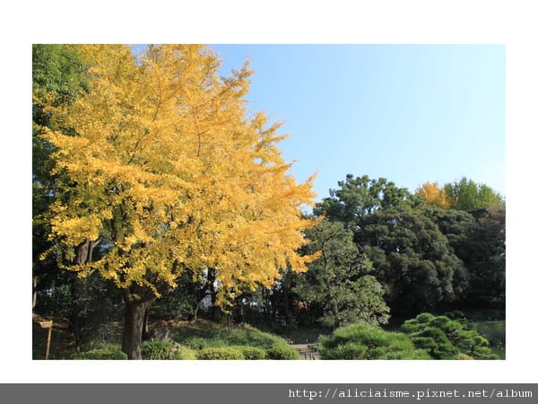 【東京都】清澄庭園:下町風情的日式庭園裏,品咖啡找四季 【東京都】清澄庭園:下町風情的日式庭園裏,品咖啡找四季