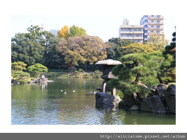 【東京都】清澄庭園:下町風情的日式庭園裏,品咖啡找四季 【東京都】清澄庭園:下町風情的日式庭園裏,品咖啡找四季