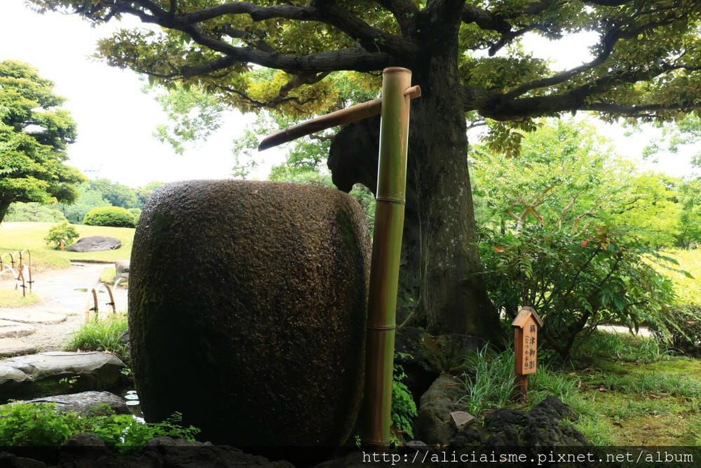 【東京都】清澄庭園:下町風情的日式庭園裏,品咖啡找四季 【東京都】清澄庭園:下町風情的日式庭園裏,品咖啡找四季