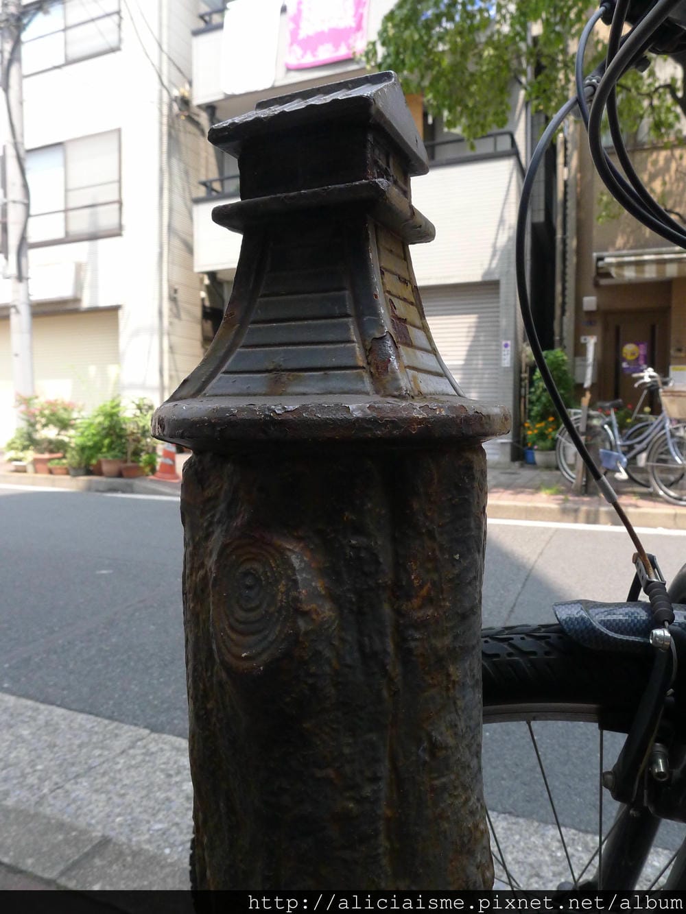 【東京都】清澄庭園:下町風情的日式庭園裏,品咖啡找四季 【東京都】清澄庭園:下町風情的日式庭園裏,品咖啡找四季