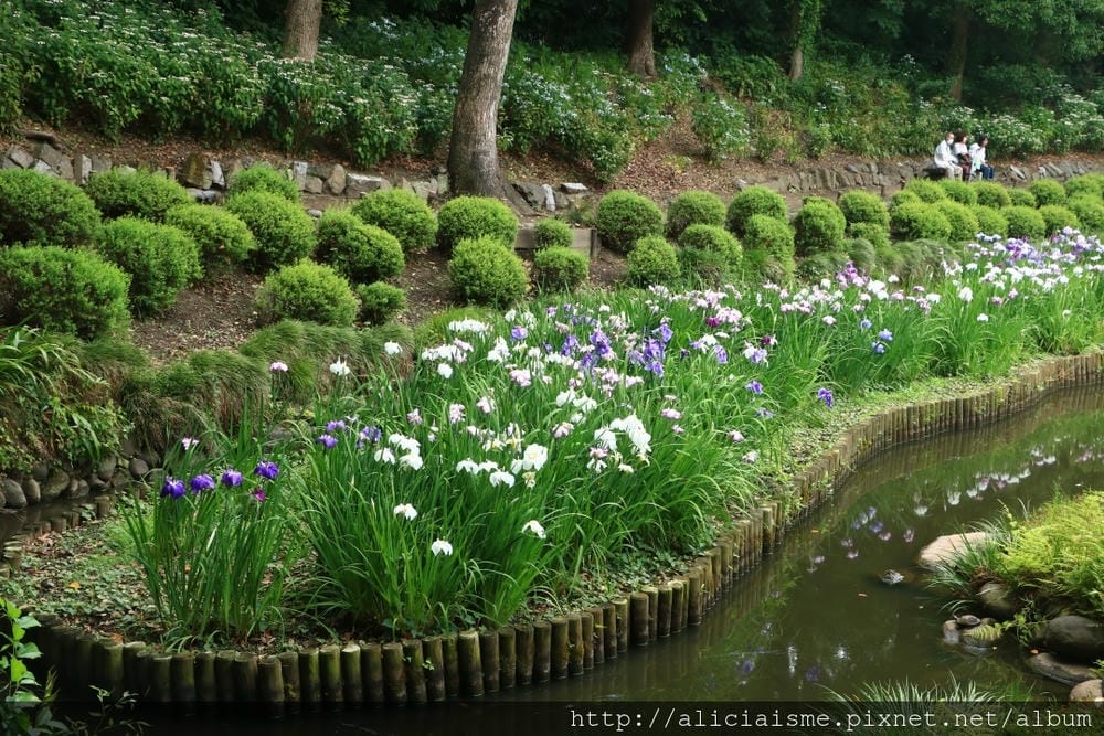 【東京都】清澄庭園:下町風情的日式庭園裏,品咖啡找四季 【東京都】清澄庭園:下町風情的日式庭園裏,品咖啡找四季
