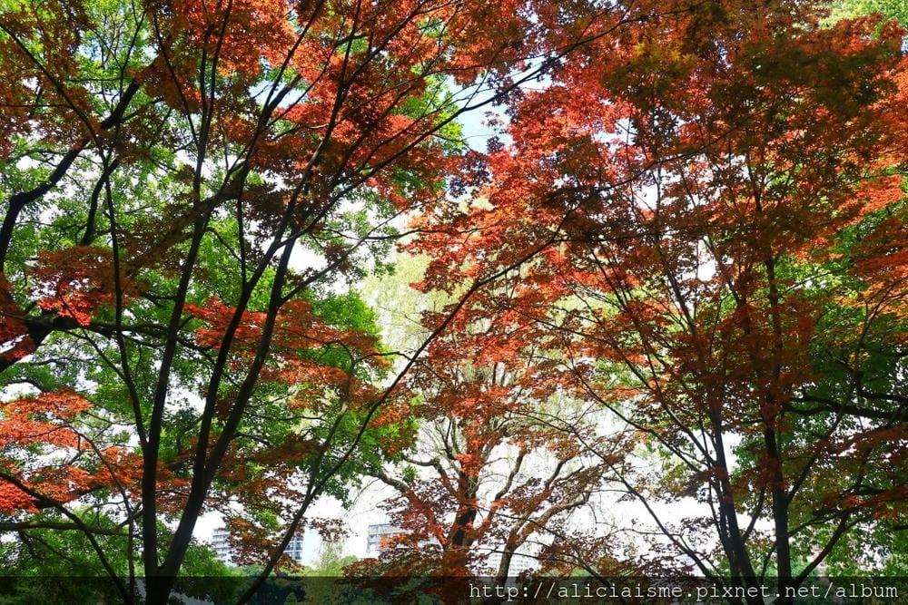 【東京都】清澄庭園:下町風情的日式庭園裏,品咖啡找四季 【東京都】清澄庭園:下町風情的日式庭園裏,品咖啡找四季