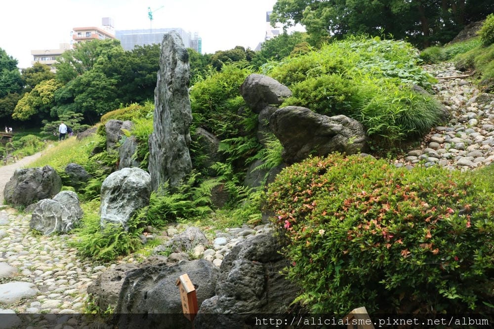 【東京都】清澄庭園:下町風情的日式庭園裏,品咖啡找四季 【東京都】清澄庭園:下町風情的日式庭園裏,品咖啡找四季