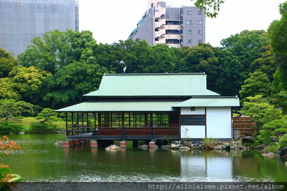 【東京都】清澄庭園:下町風情的日式庭園裏,品咖啡找四季 【東京都】清澄庭園:下町風情的日式庭園裏,品咖啡找四季