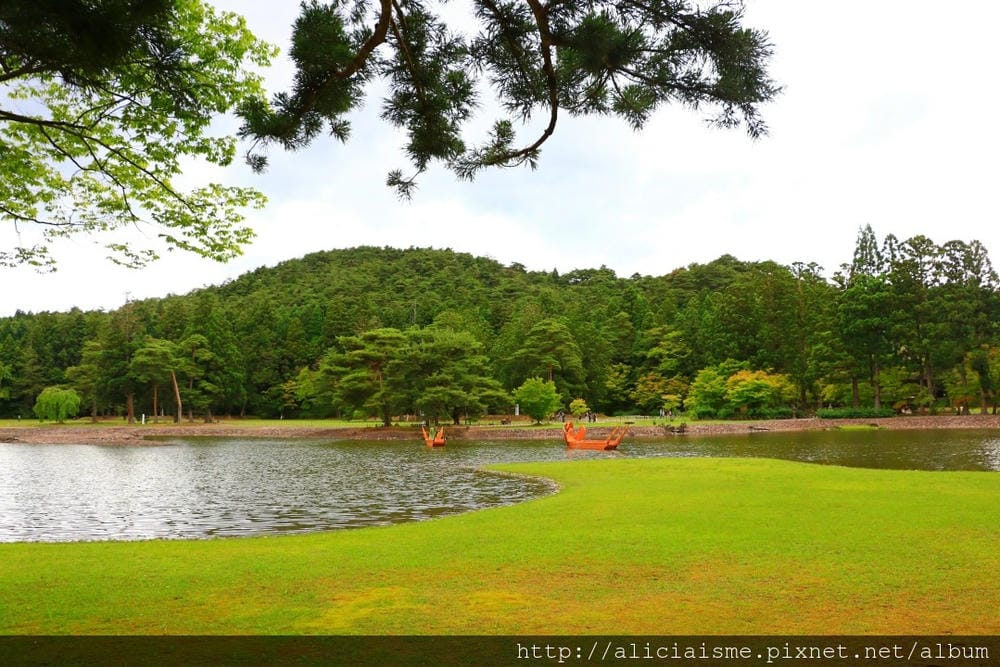 【岩手縣】毛越寺:世界遺產的「水之淨土」:菖蒲花及夢幻秋庭園
