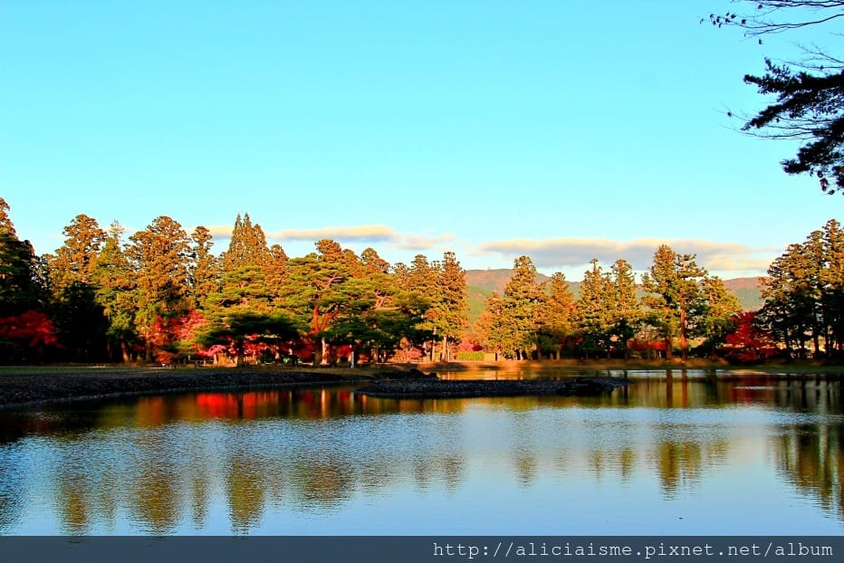 【岩手縣】毛越寺:世界遺產的「水之淨土」:菖蒲花及夢幻秋庭園