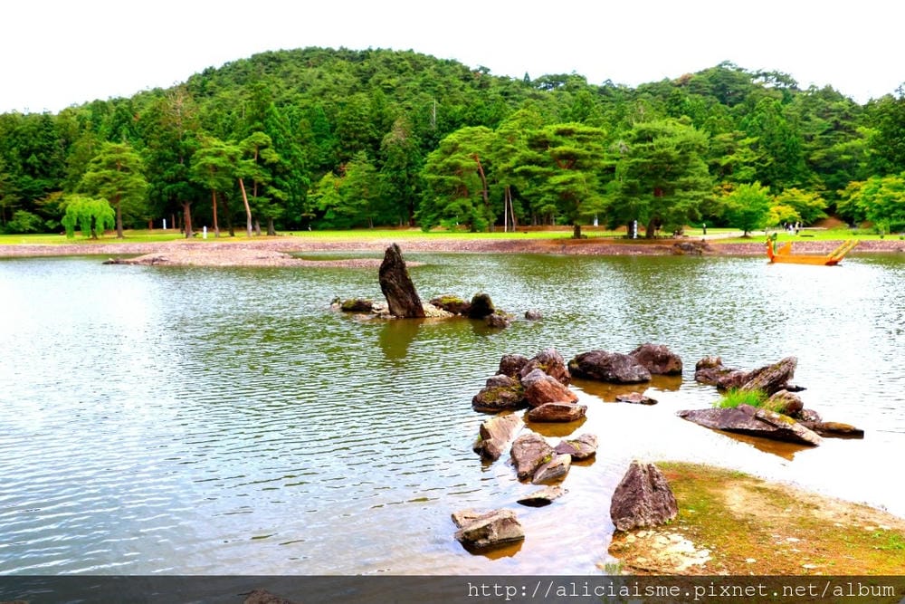【岩手縣】毛越寺:世界遺產的「水之淨土」:菖蒲花及夢幻秋庭園