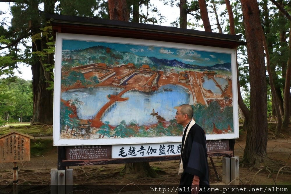 【岩手縣】毛越寺:世界遺產的「水之淨土」:菖蒲花及夢幻秋庭園
