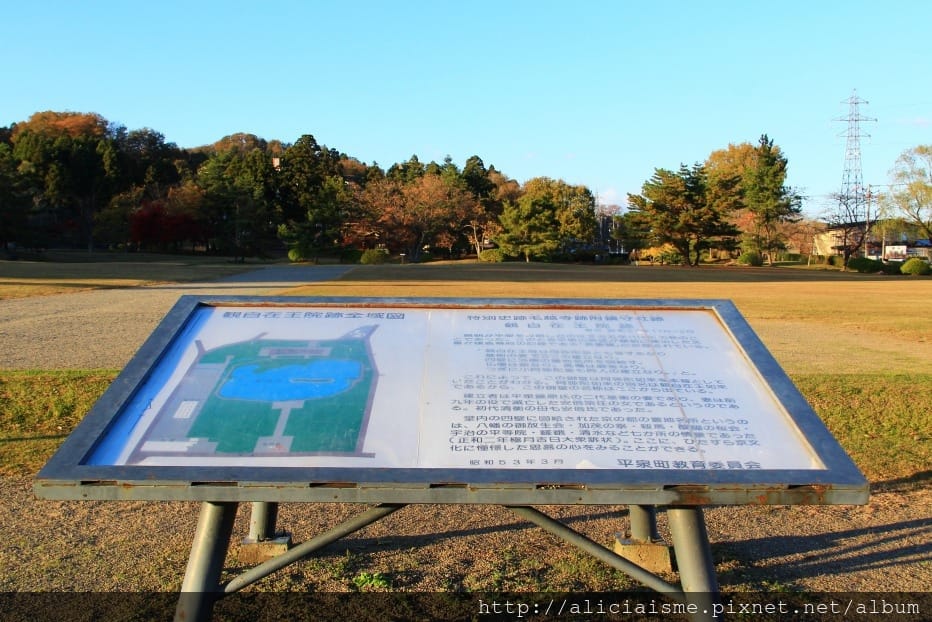 【岩手縣】毛越寺:世界遺產的「水之淨土」:菖蒲花及夢幻秋庭園