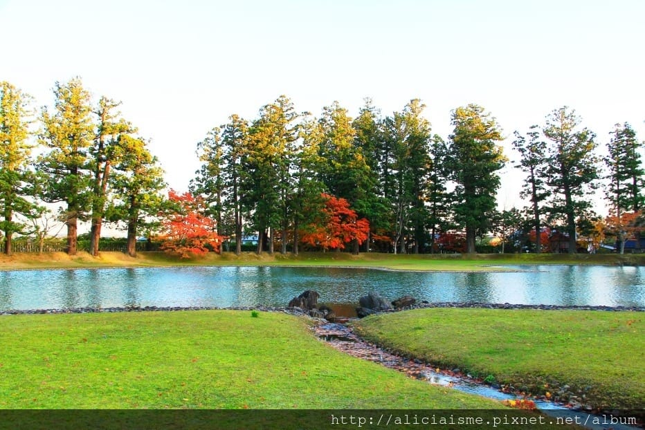 【岩手縣】毛越寺:世界遺產的「水之淨土」:菖蒲花及夢幻秋庭園