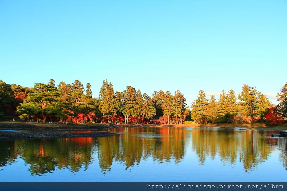 【岩手縣】毛越寺:世界遺產的「水之淨土」:菖蒲花及夢幻秋庭園