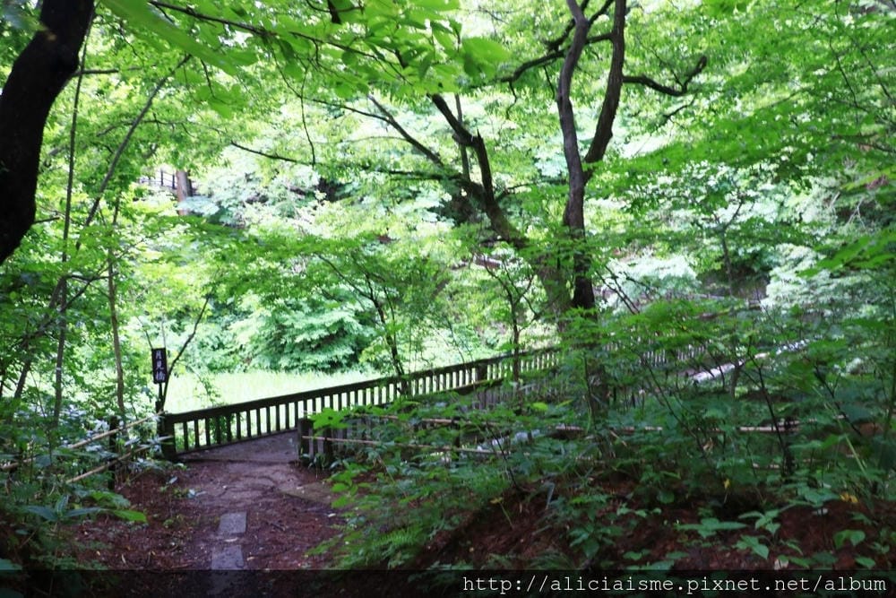 【岩手縣】花卷溫泉散策：森林裡的釜淵瀑布 X 500品種玫瑰園 X Café de藏百年藏造裡的人氣紅豆麵包 X 花卷溫泉稻荷神社