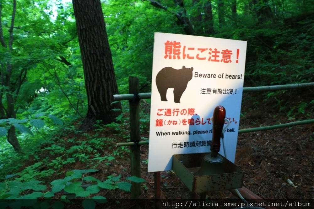 【岩手縣】花卷溫泉散策：森林裡的釜淵瀑布 X 500品種玫瑰園 X Café de藏百年藏造裡的人氣紅豆麵包 X 花卷溫泉稻荷神社