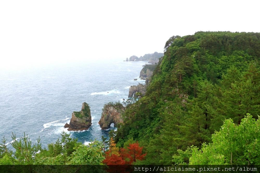 【岩手縣】北山崎&北川食堂:三陸海岸的日本特A級絕景及第一名庶民海鮮丼@田野畑站
