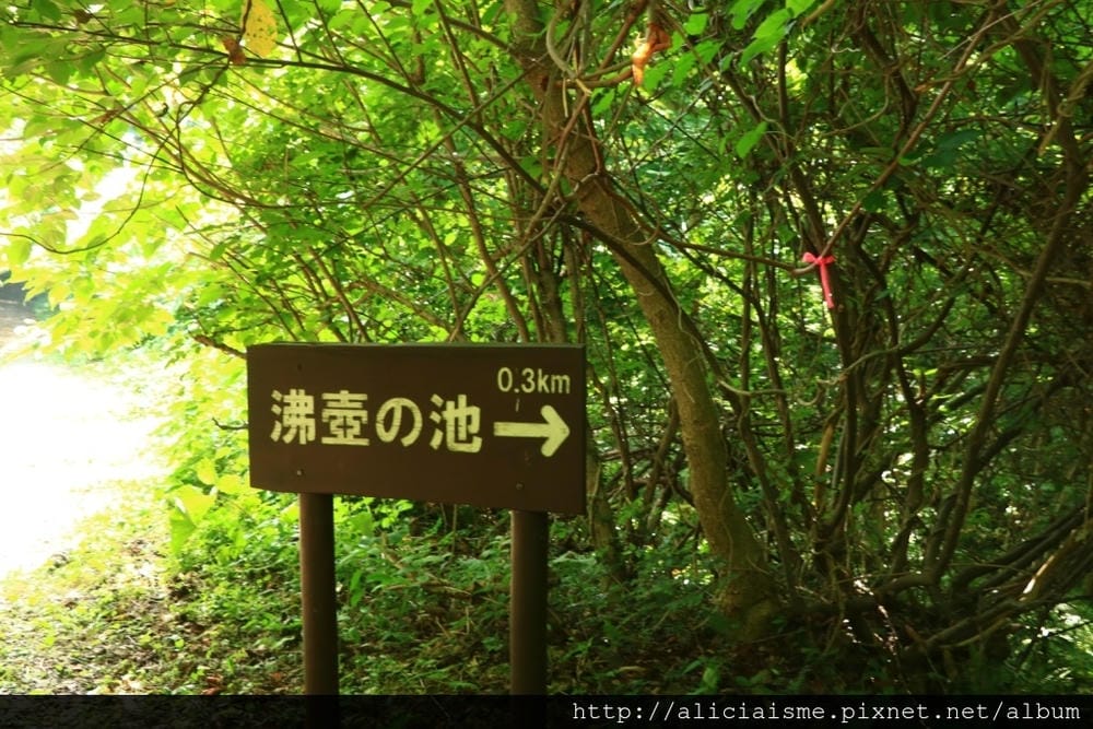 IMG_0429.JPG IMG_0429.JPG