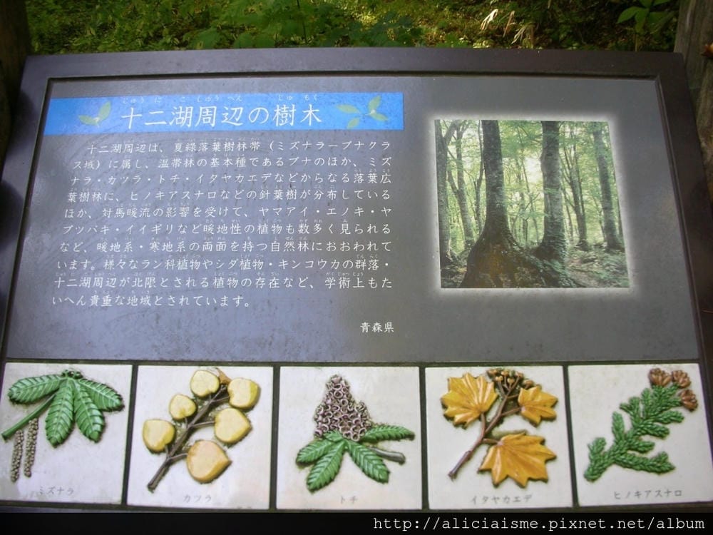 DSCN5361.JPG DSCN5361.JPG