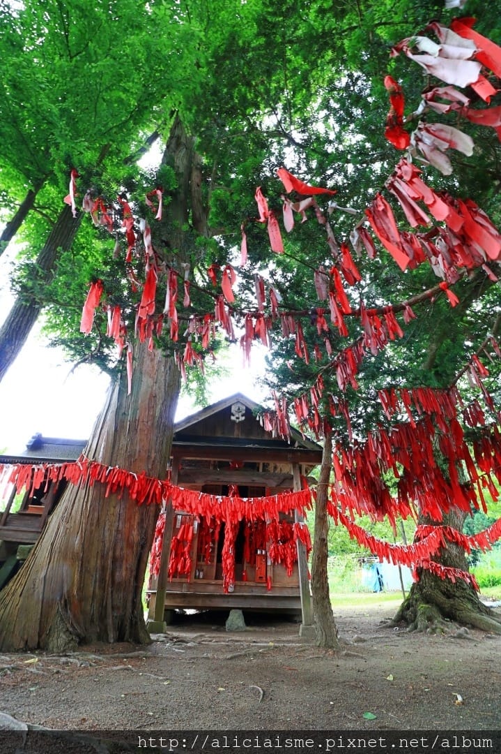 【卯子酉神社】一手寫心願、一手掛願力,以紅布條結緣的戀愛神社@遠野