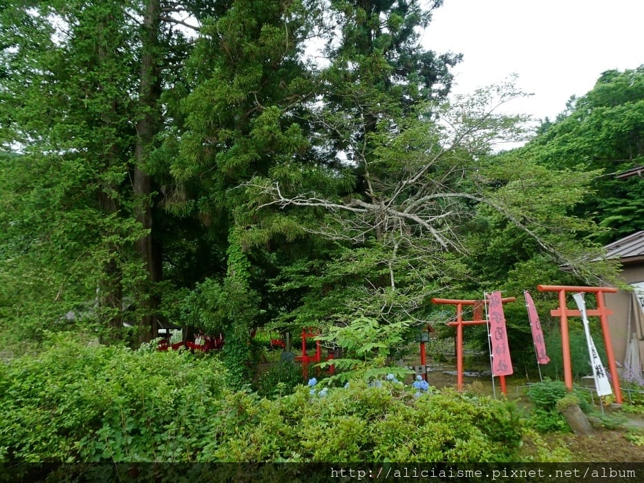 【卯子酉神社】一手寫心願、一手掛願力,以紅布條結緣的戀愛神社@遠野