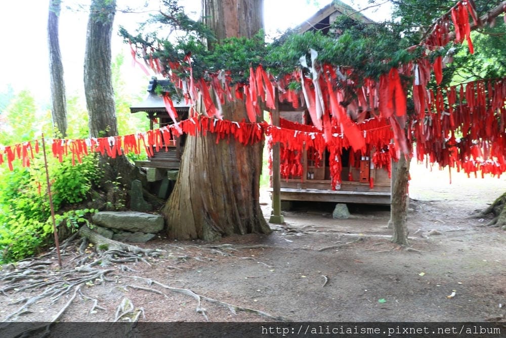 【卯子酉神社】一手寫心願、一手掛願力,以紅布條結緣的戀愛神社@遠野