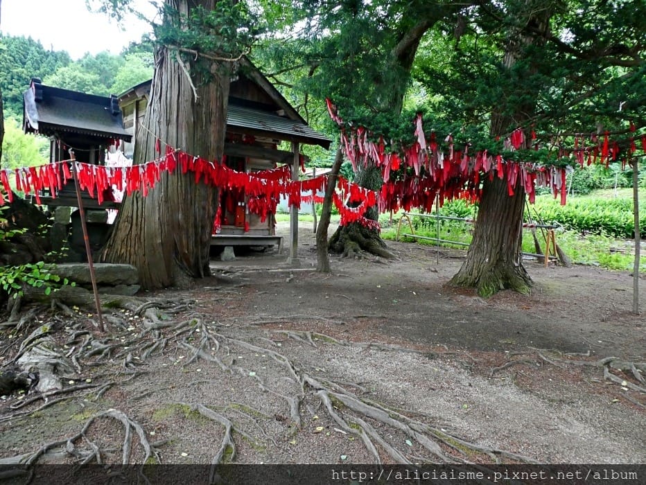 【卯子酉神社】一手寫心願、一手掛願力,以紅布條結緣的戀愛神社@遠野