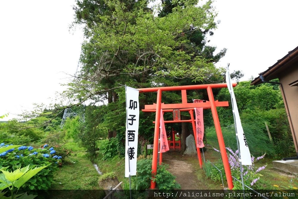 【卯子酉神社】一手寫心願、一手掛願力,以紅布條結緣的戀愛神社@遠野