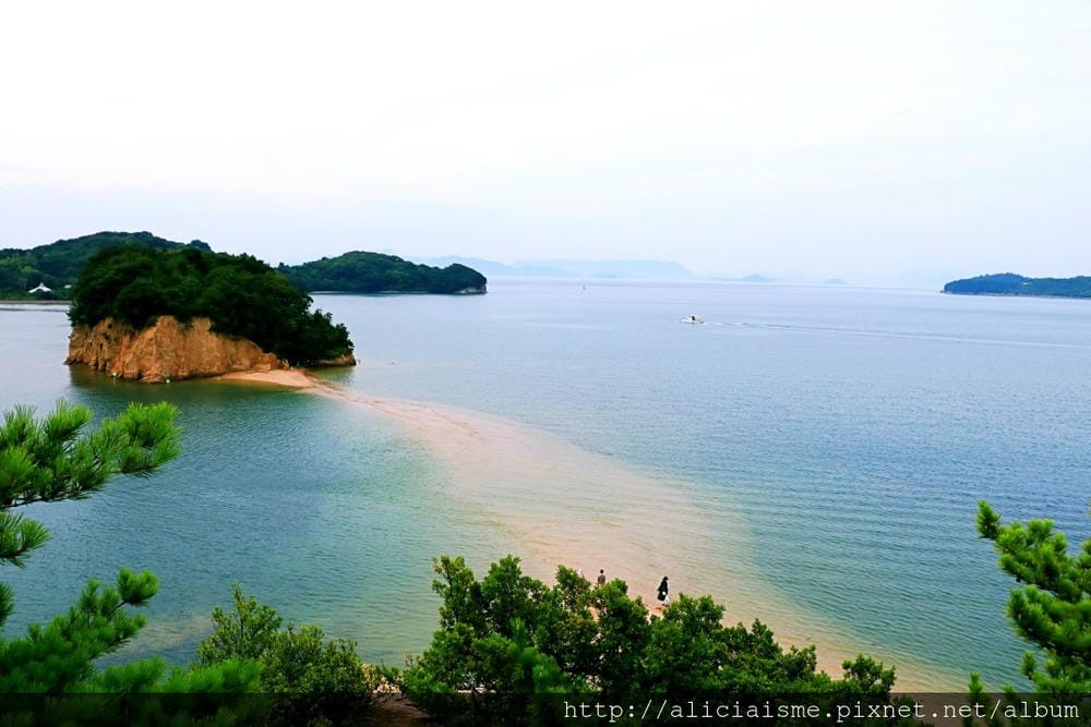 【香川縣︱小豆島】天使散步道:一天兩回與天使相遇海中之道(2018更新)