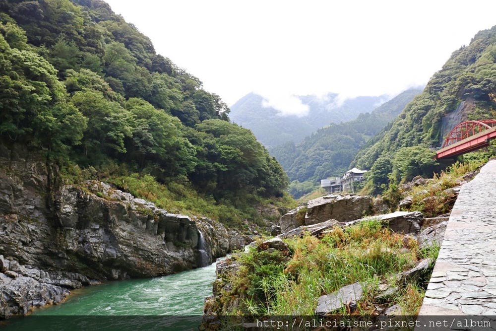 【德島縣】大步危峽遊船:探訪祖谷深山峽谷秘境裡的人情味
